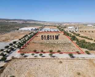 Industrial land for sale in Escúzar