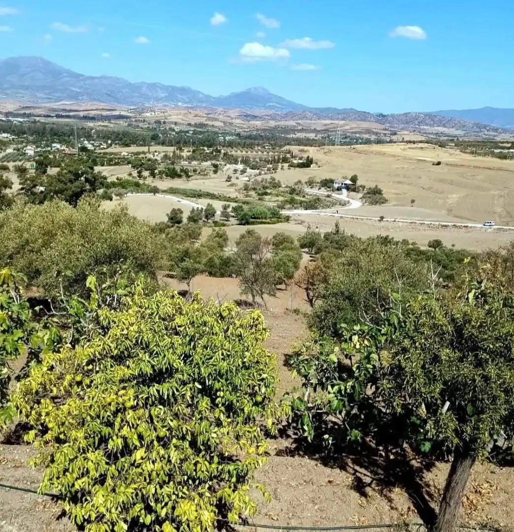 Casa rústica con piscina en venta en La Trocha, imagen 12