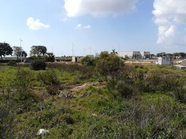 Terreny industrial en venda a El Juncal - Vallealto