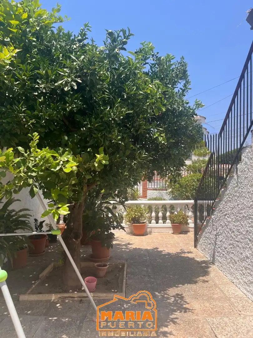 Vista exterior de Casa o chalet en venta en Málaga con Jardín privado y Terraza