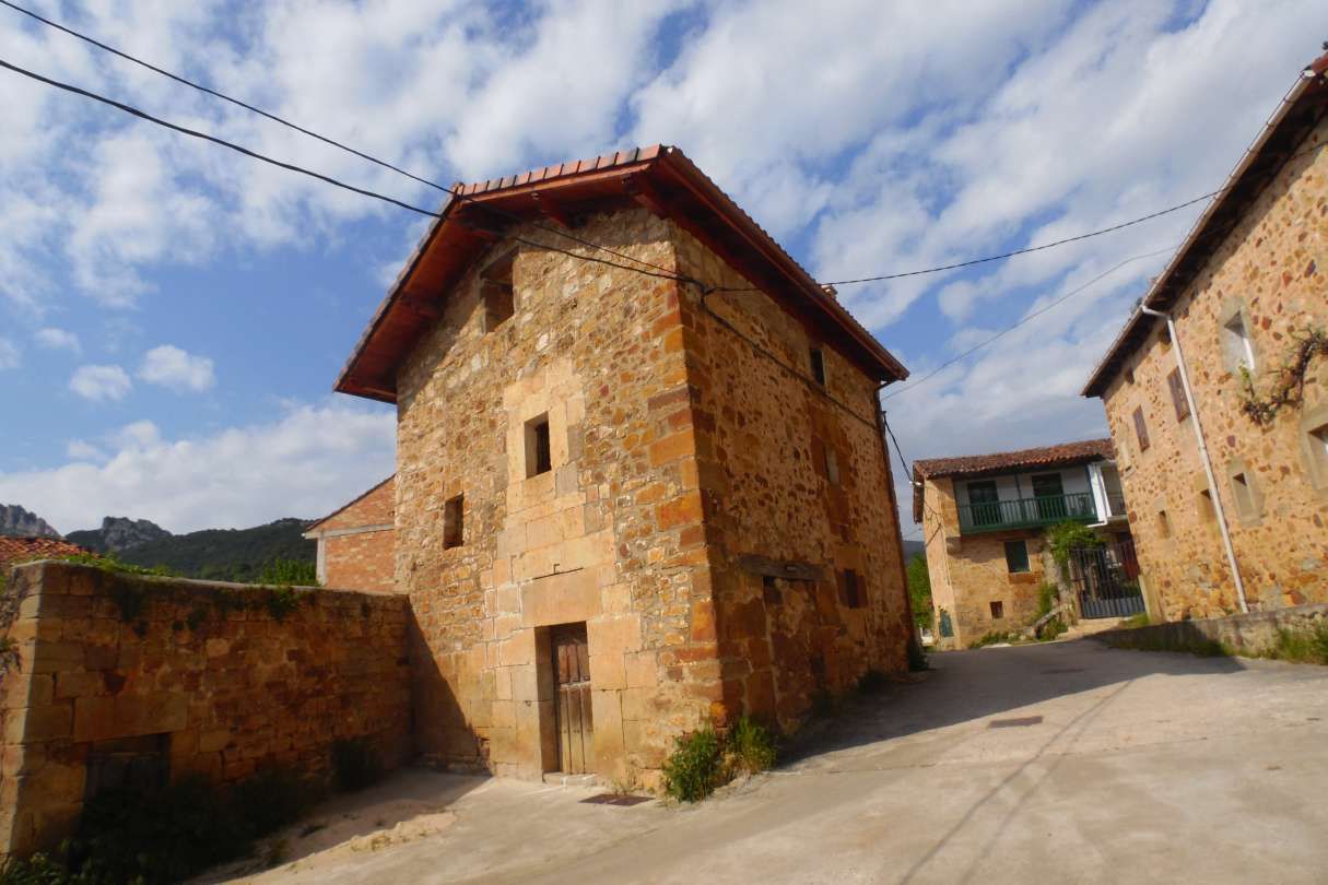 Exterior view of House or chalet for sale in Valle de Valdebezana  with Private garden