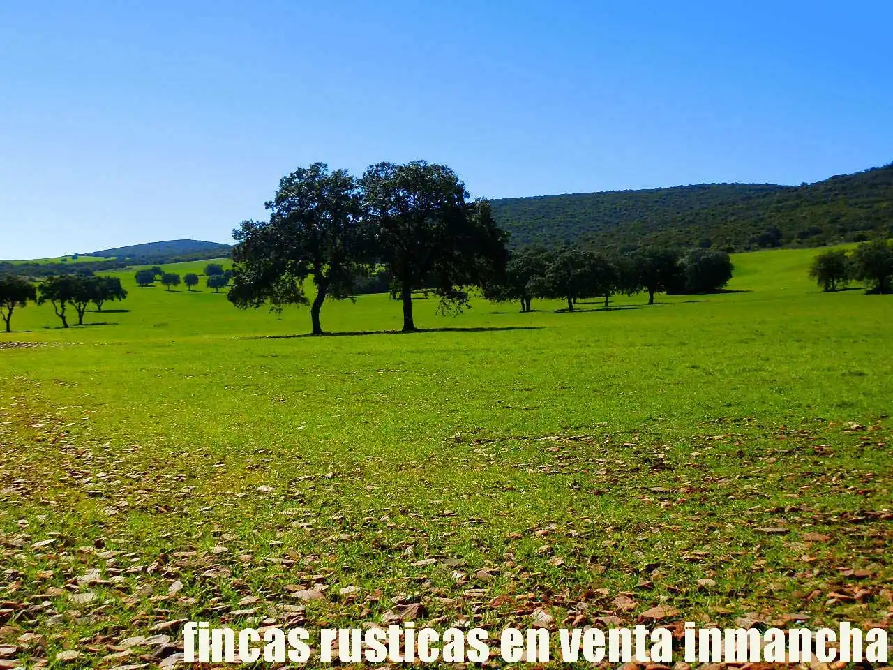 Terreno rustico in vendita a Aldea del Rey, imagen 13