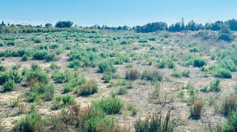 Foto 3 de Residencial en venta en Perleta - Maitino, Elche / Elx