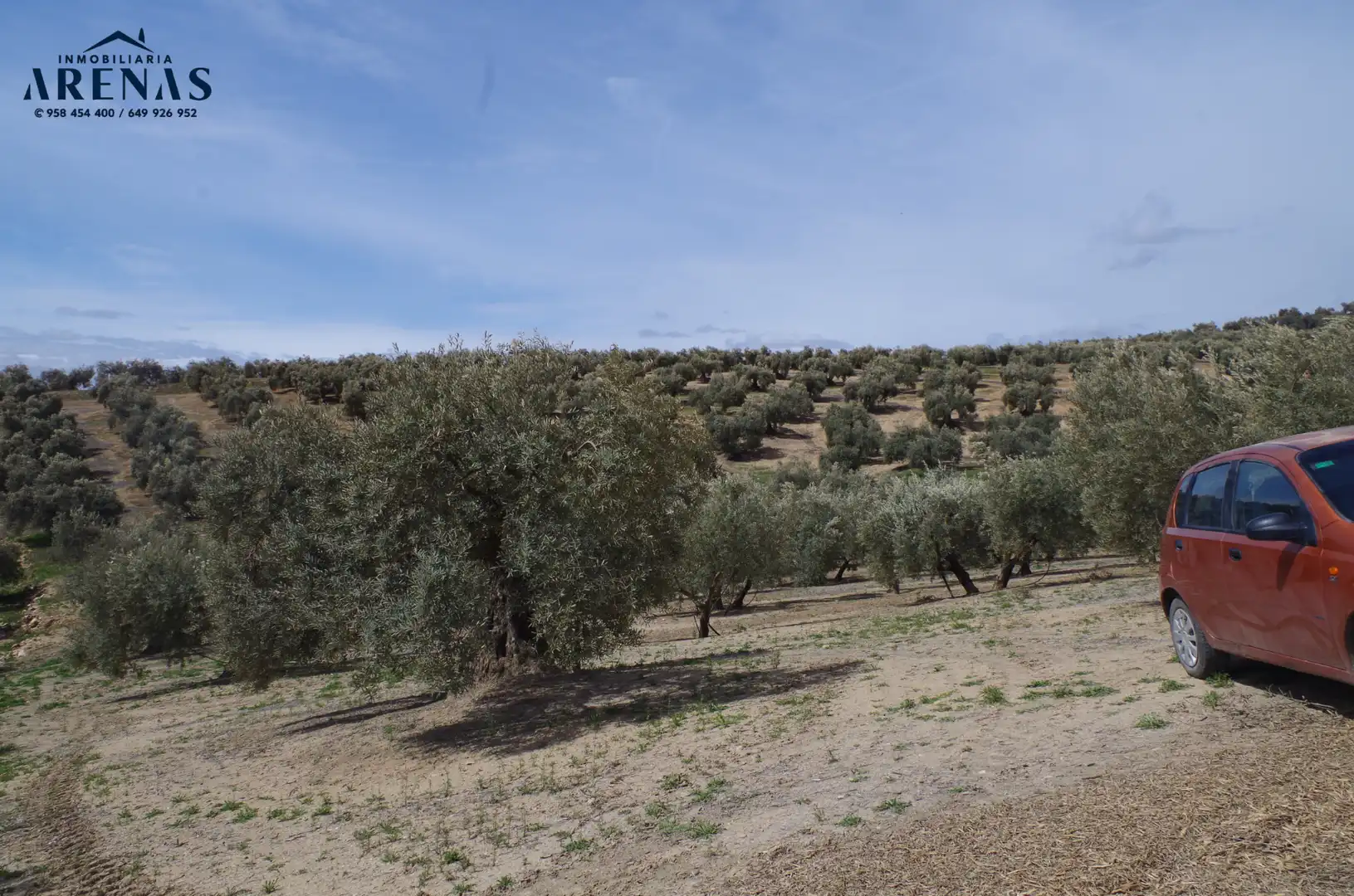 Residential land for sale in Íllora, imagen 4