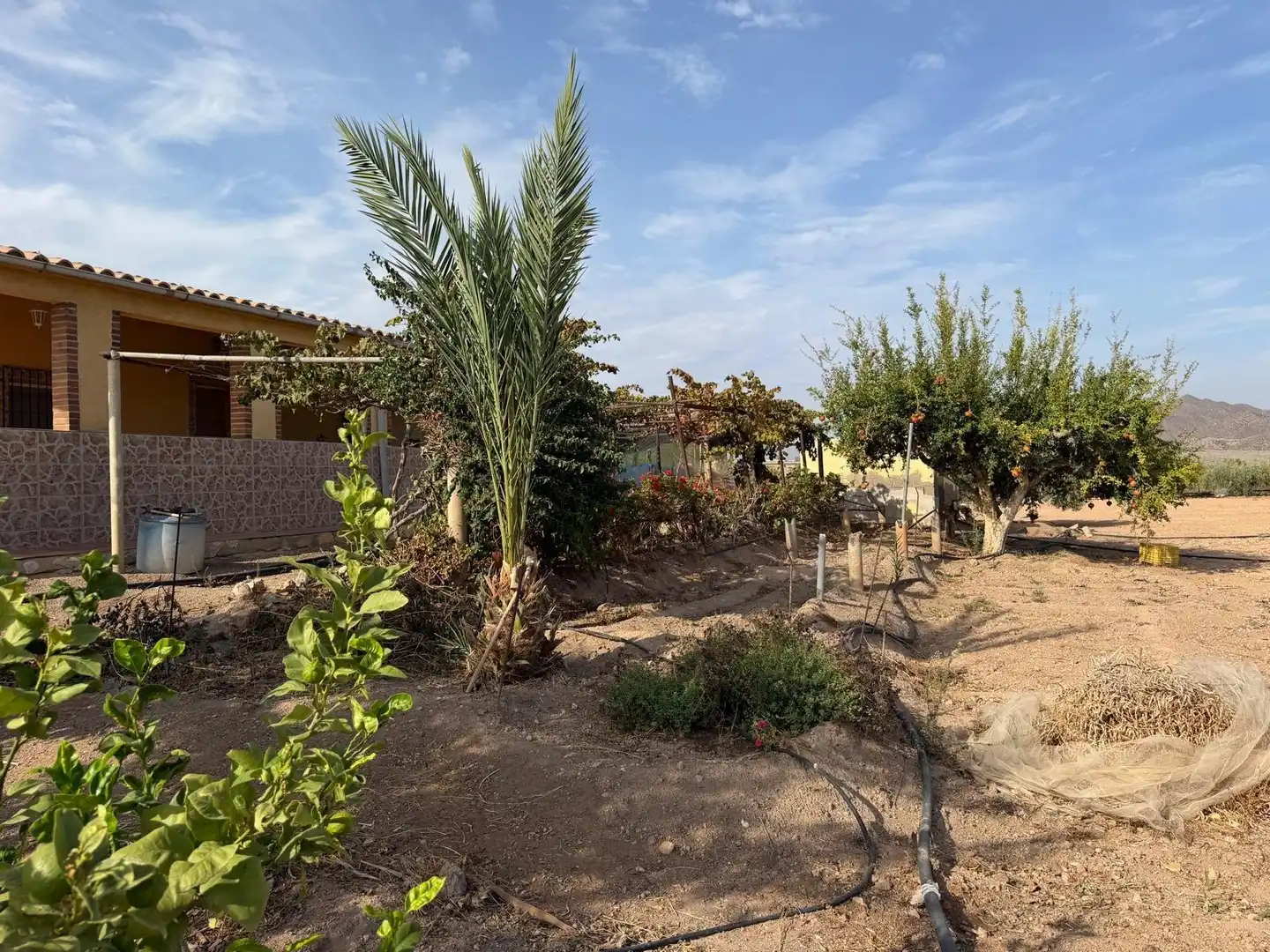 Haus zum Verkauf in Pulpí pueblo