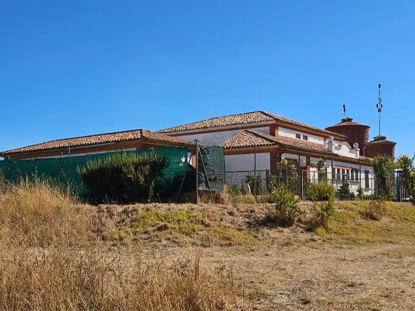Außenansicht von Geschaftsraum zum Verkauf in Osorno la Mayor mit Terrasse