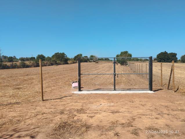 Terreno en Venta en Algaida