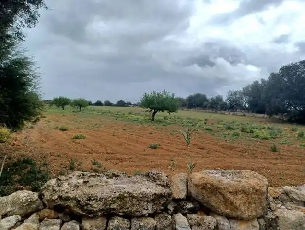 Rural land for sale in Felanitx Poble, imagen 13