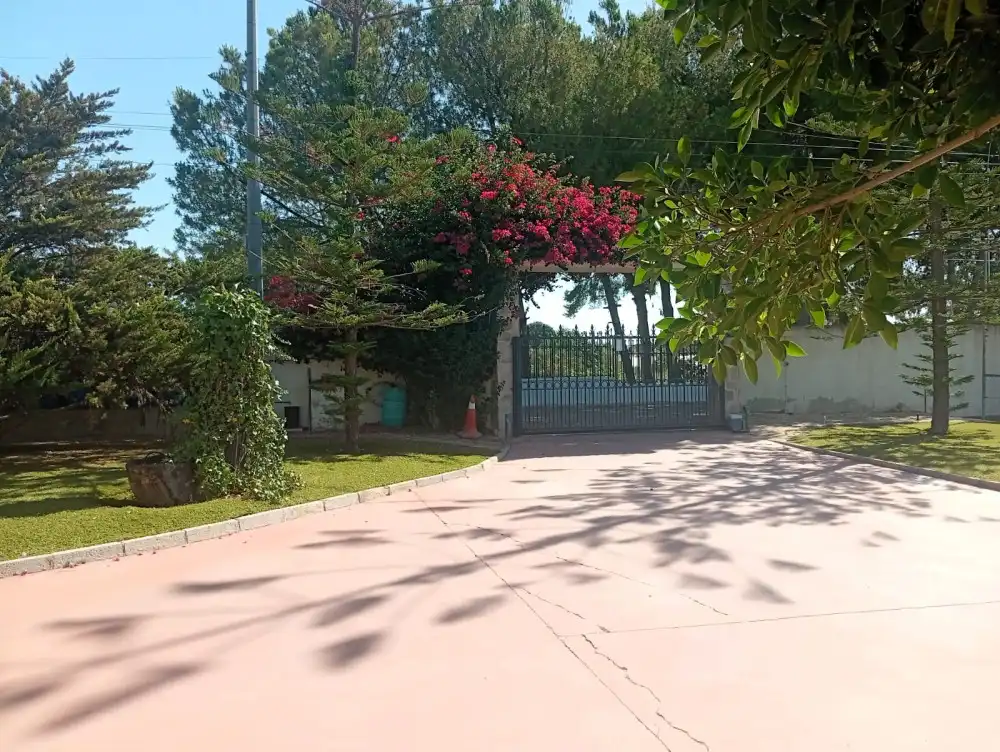 Exterior view of Flat for sale in Crevillent