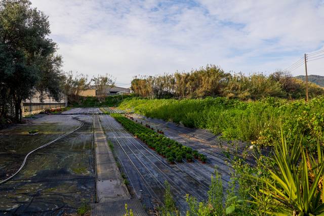 Terreno en Venta en Poligono Industrial els Garrofers en Zona Industrial i Agrícola