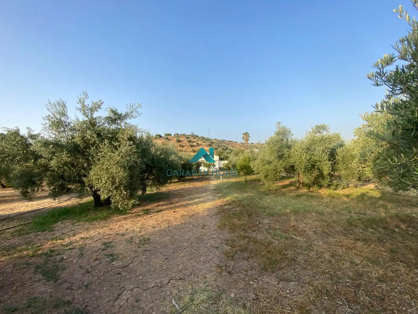 Casa o xalet en venda en Alcaudete amb Jardí privat, Traster i Piscina