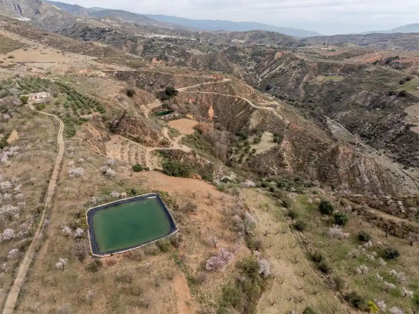 Piscina de Finca rústica en venda en Cádiar