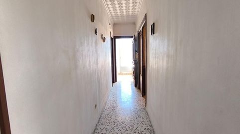 Foto 5 de Finca rústica en venta en La Palma, Cartagena