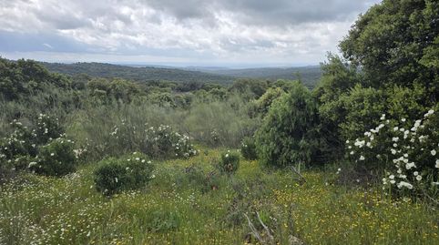 Foto 3 de Terreno en venta en Mojadillas - Parque de las Infantas - El Paraiso, Valdemorillo