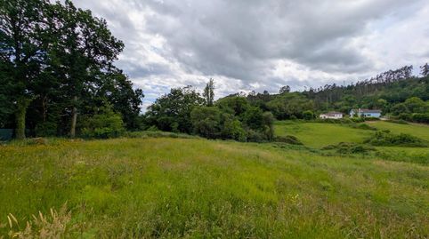 FINCA LLANA Y EDIFICABLE A 20 MINUTOS DE OVIEDO. PASA EL CAMINO DE SANTIAGO!, immagine 2