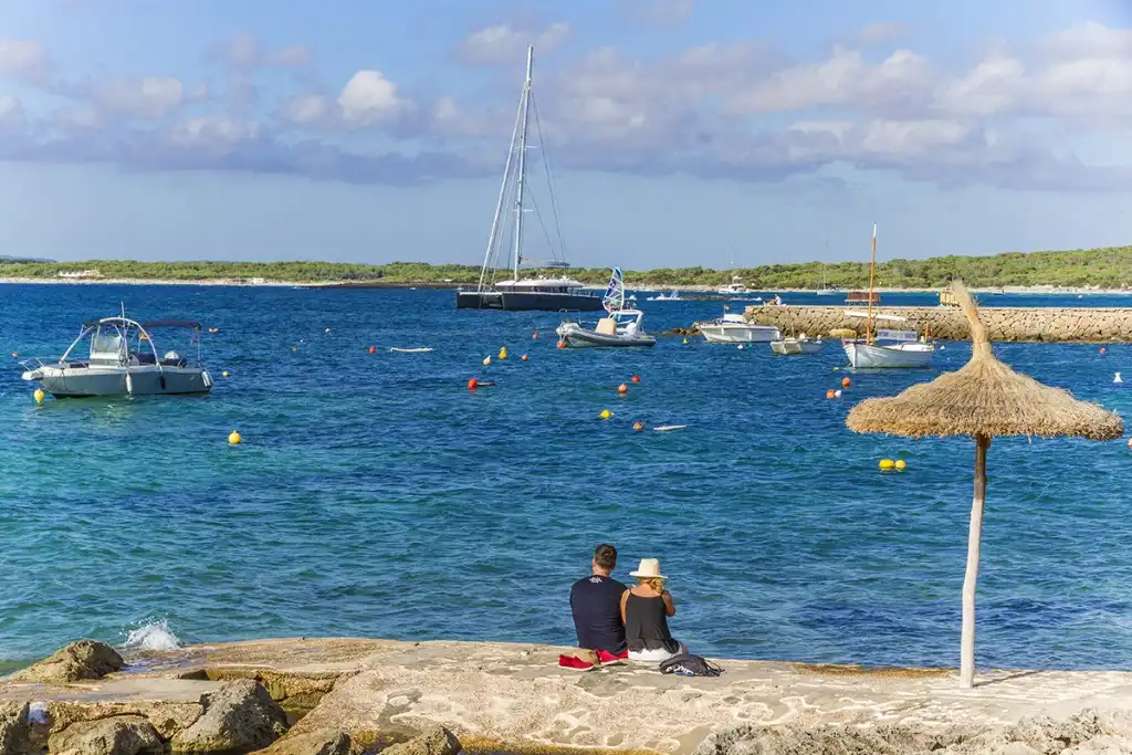 Terreny rústic en venda a Ses Salines Poble, imagen 11