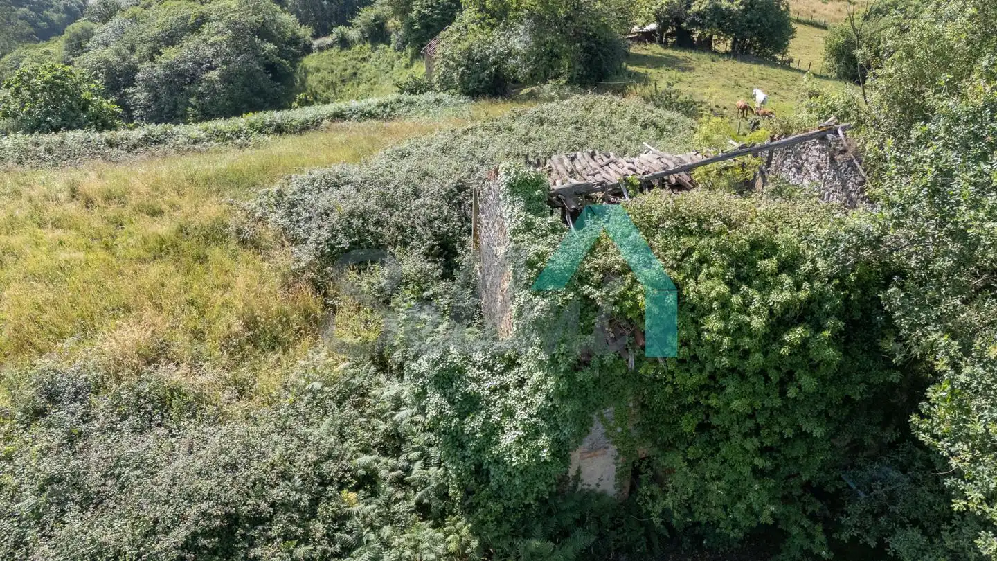 Casa o xalet en venda en Mieres (Asturias) amb Jardí privat i Terrassa