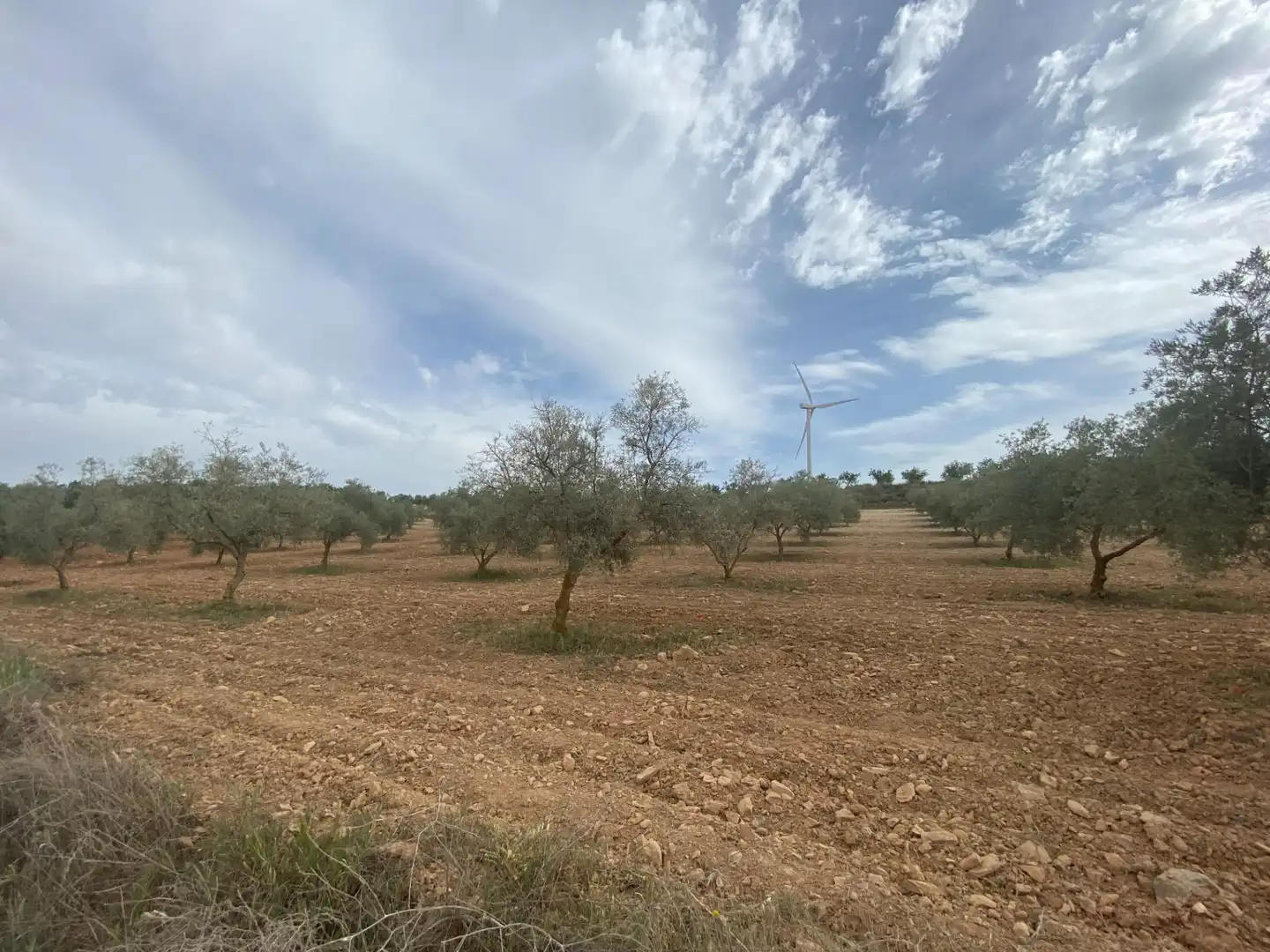 Rustikales Grundstück zum Verkauf in Polígono Polígono 16 Parcela 646 CAÑADA DE ZALDIVAR. PADU, imagen 30