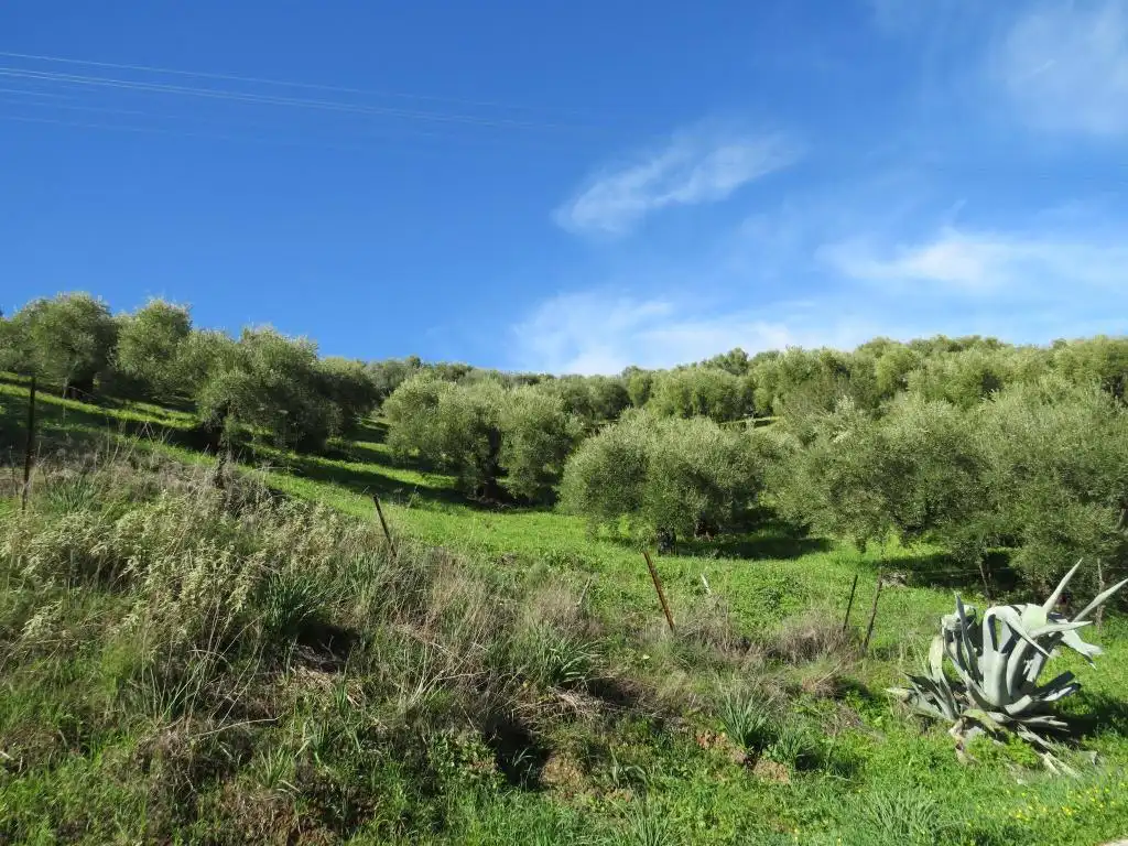 Terreno en venta en Cádiz