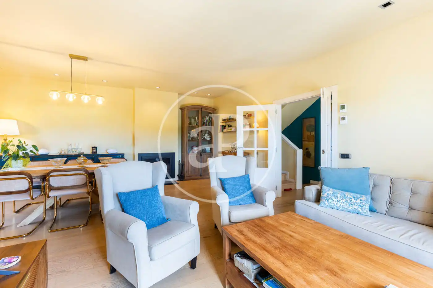 Sala d'estar de Casa o xalet en venda en Valldoreix