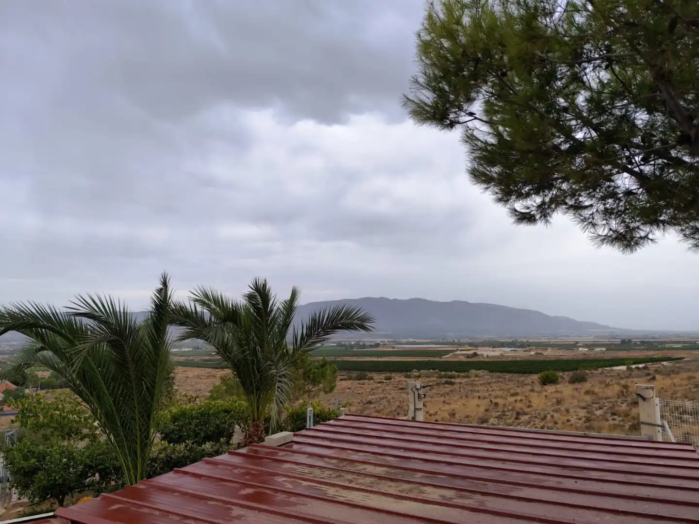 Casa o xalet en venda en Alcantarilla amb Aire condicionat, Terrassa i Piscina