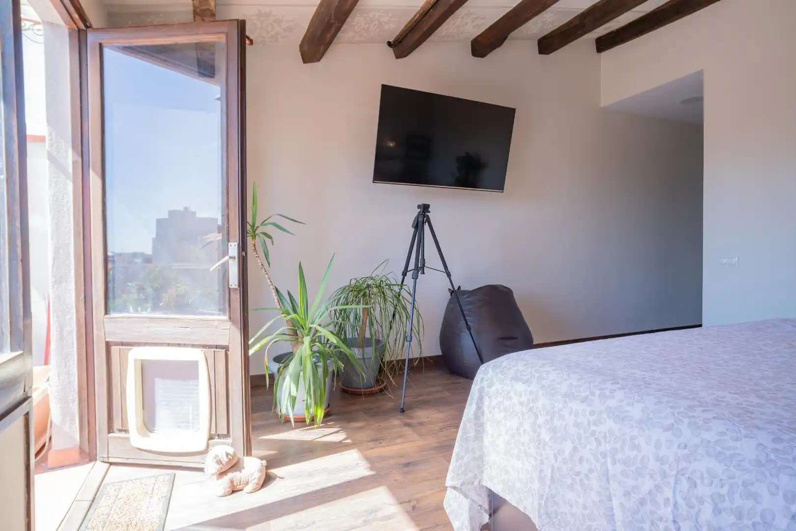 Casa amb terrassa en venda a Sud, imagen 11