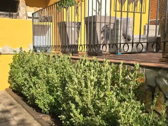 Jardín de Casa o chalet en venta en Navaluenga, Ávila