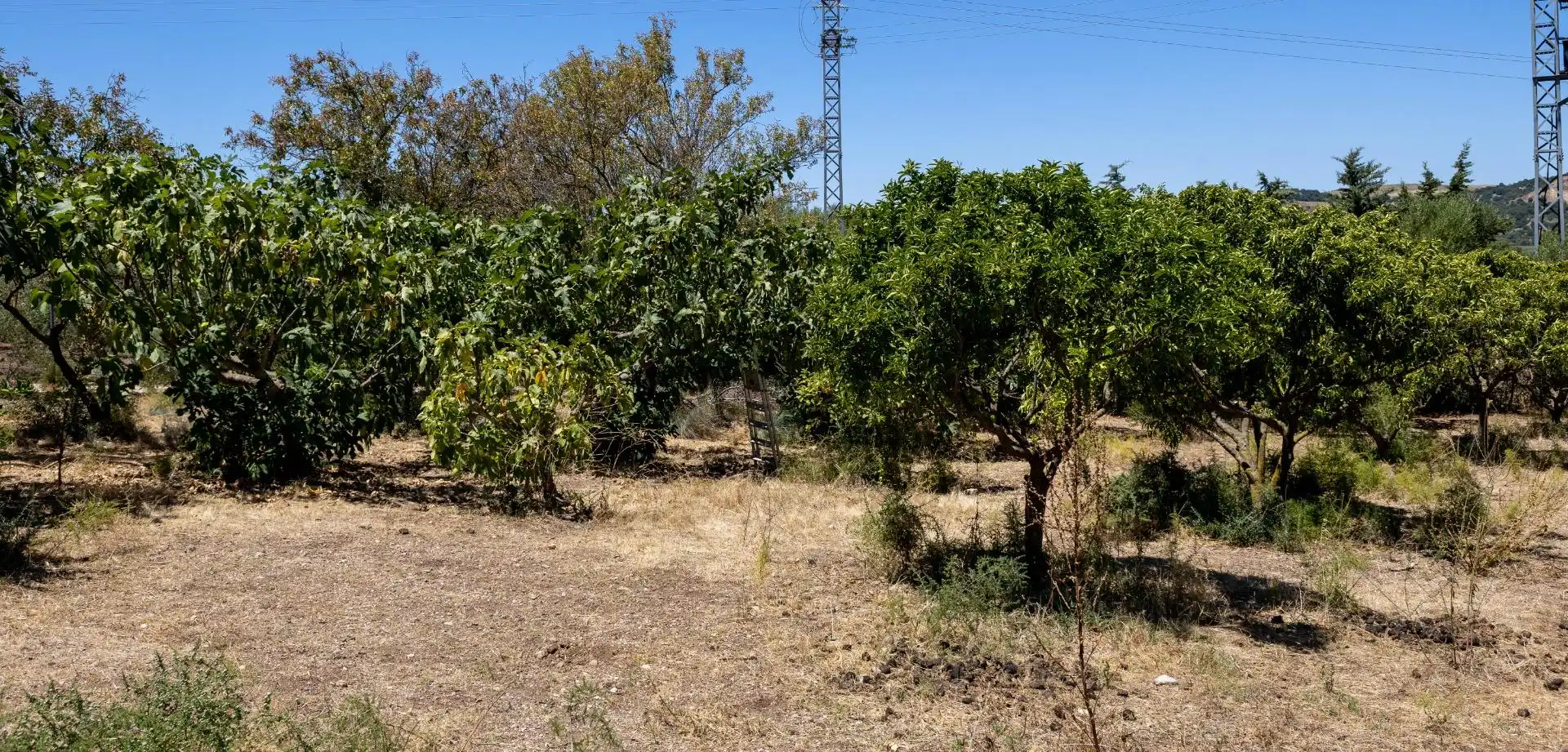 Terrenys i solars en venda a Santiago - Coronación, imagen 56