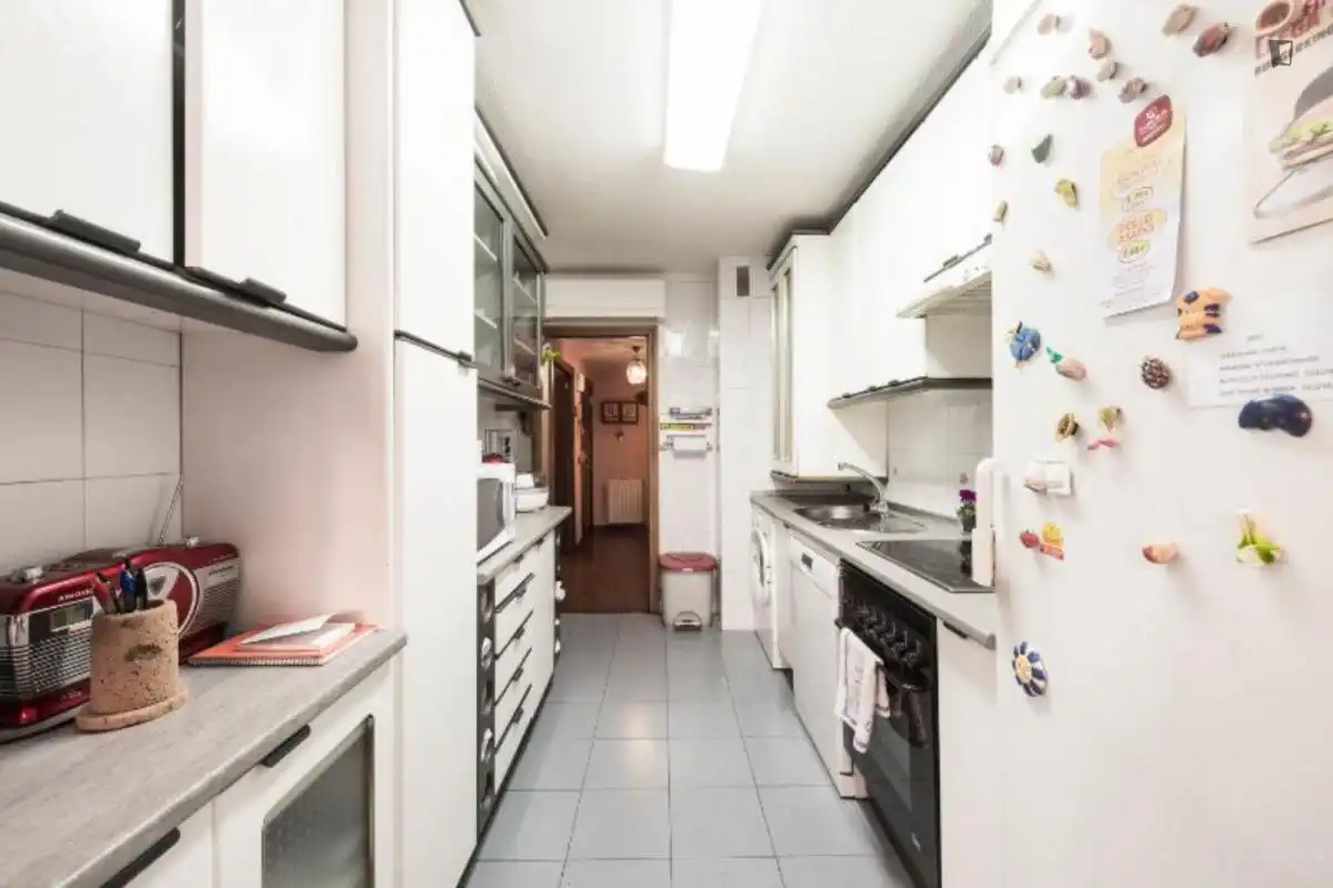 Kitchen of Apartments for rent in Madrid  with Air Conditioner, Heating and Furnished