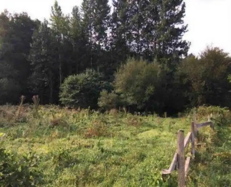 Residential for sale in Reocín