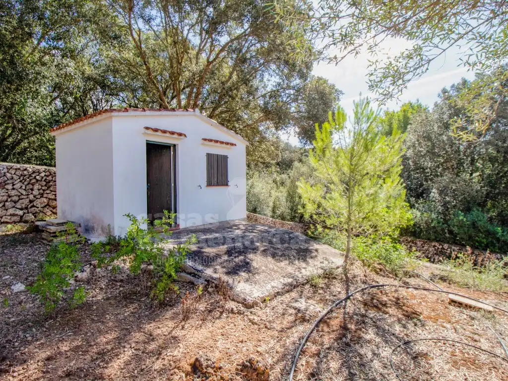 Finca rústica en venda en Es Mercadal amb Jardí privat
