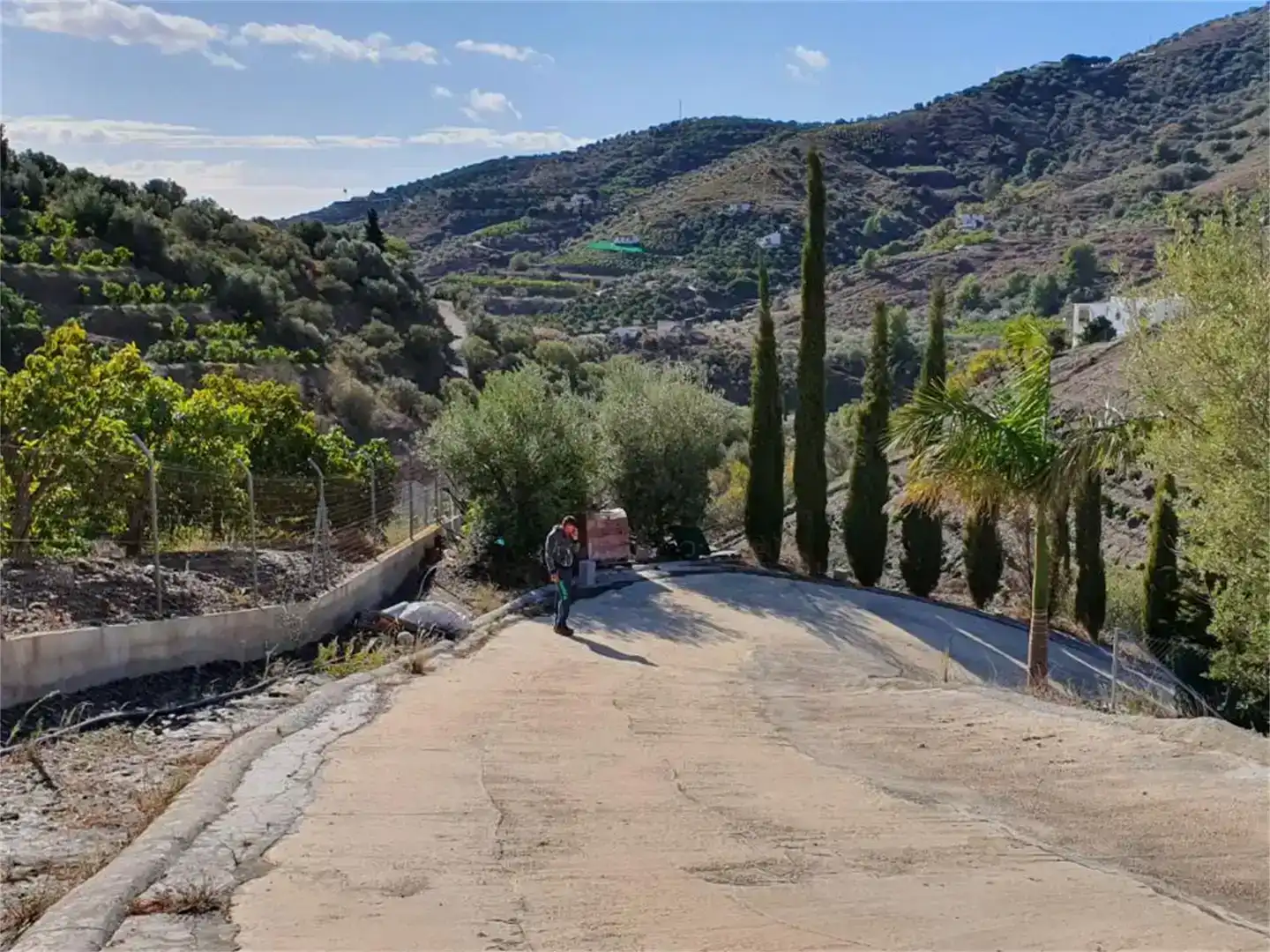 Vista exterior de Finca rústica en venda en Frigiliana amb Piscina