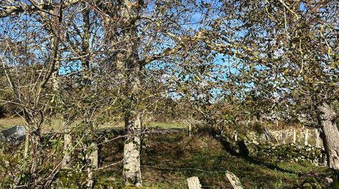 Foto 4 de Finca rústica en venta en A Teixeira , Ourense