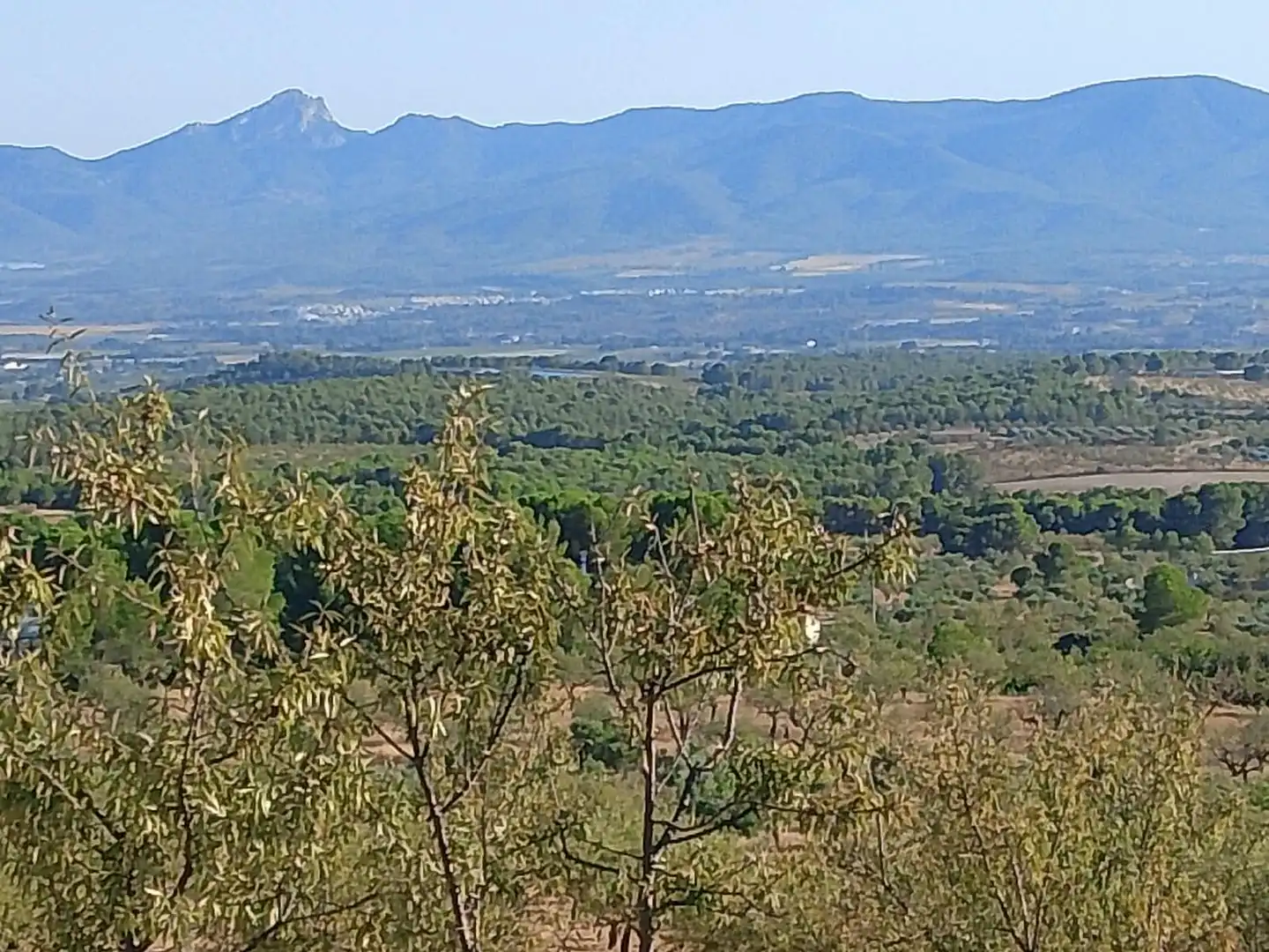 Terreny rústic en venda a N/A, imagen 80