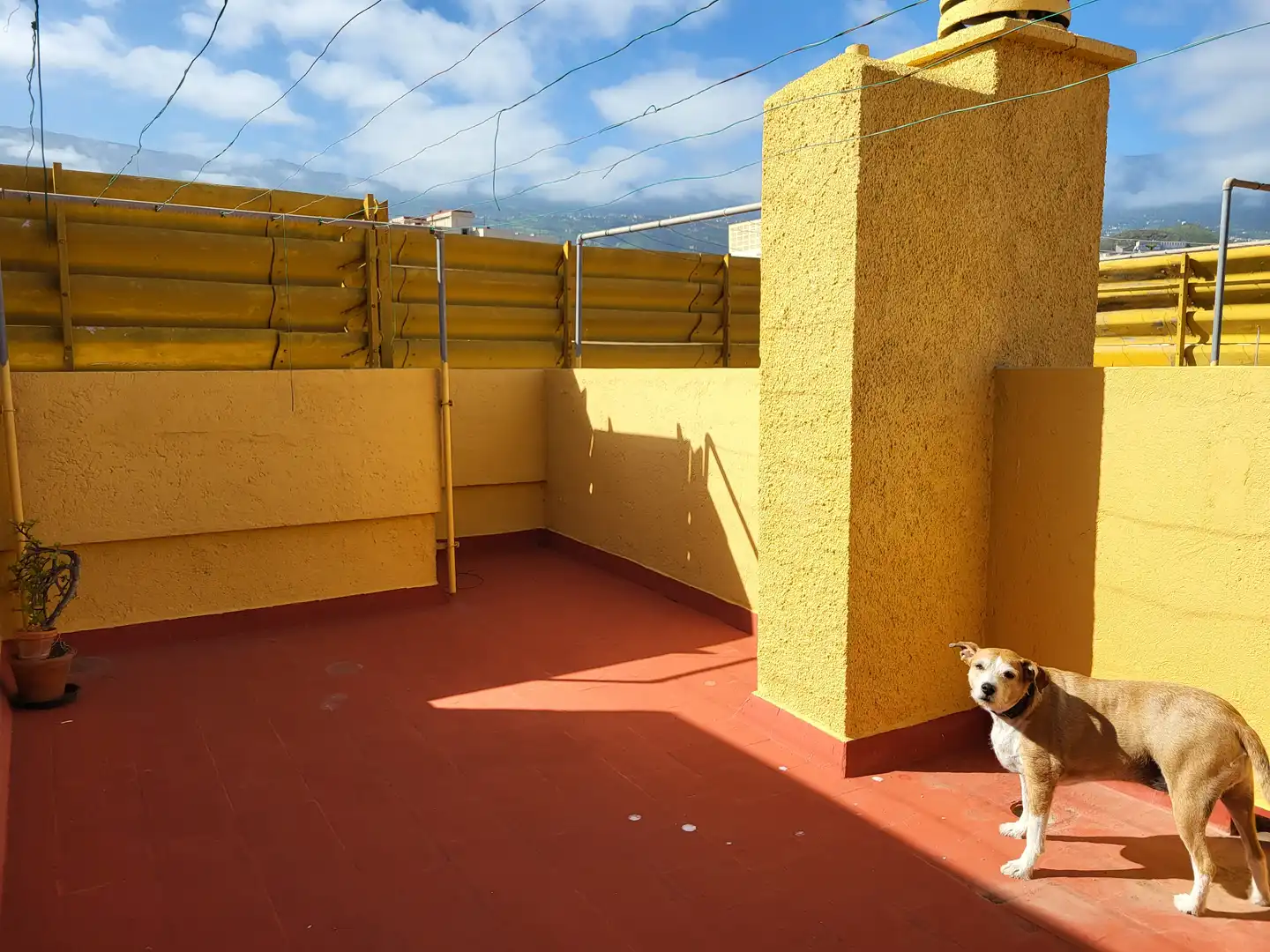 Terrace of Apartments for sale in Puerto de la Cruz  with Furnished and Balcony