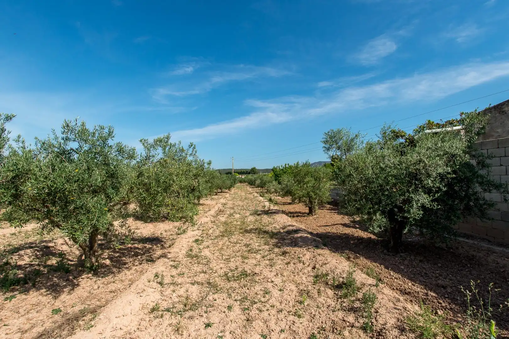 Casa o xalet en venda en Cehegín amb Piscina i Moblat