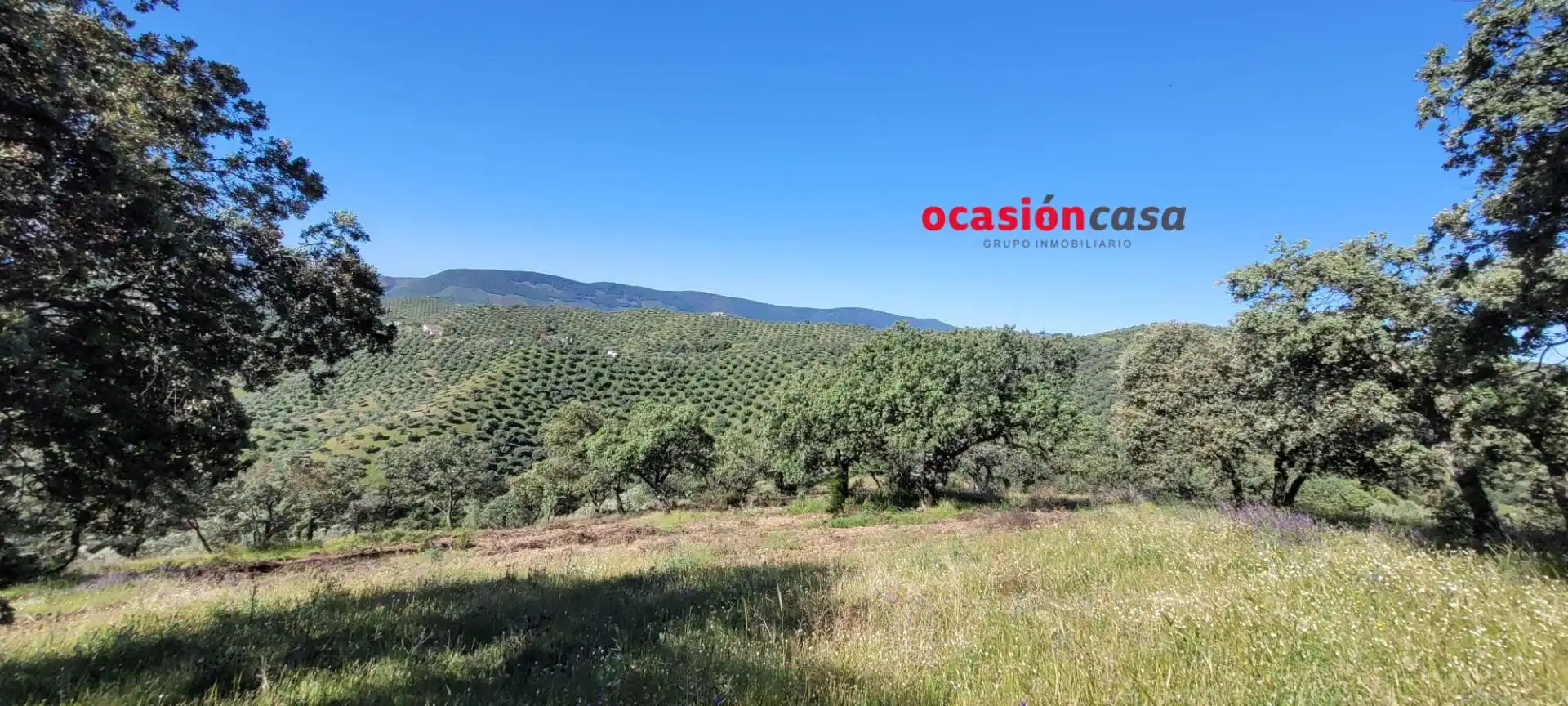 Casa rústica en venda a Pozoblanco, imagen 2