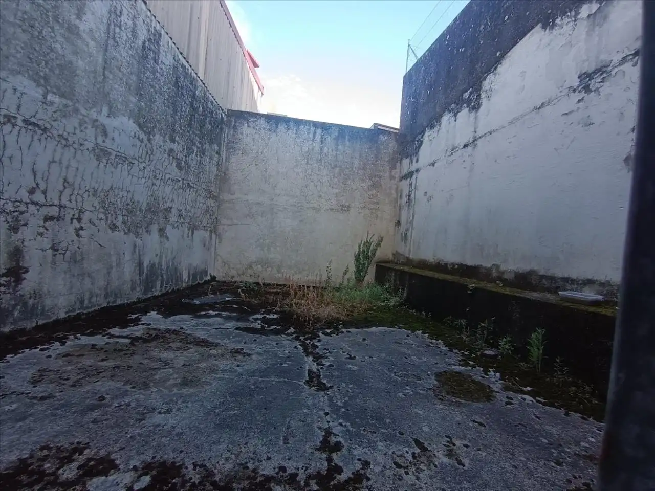Local comercial en venda a PARDO BAZAN, imagen 15