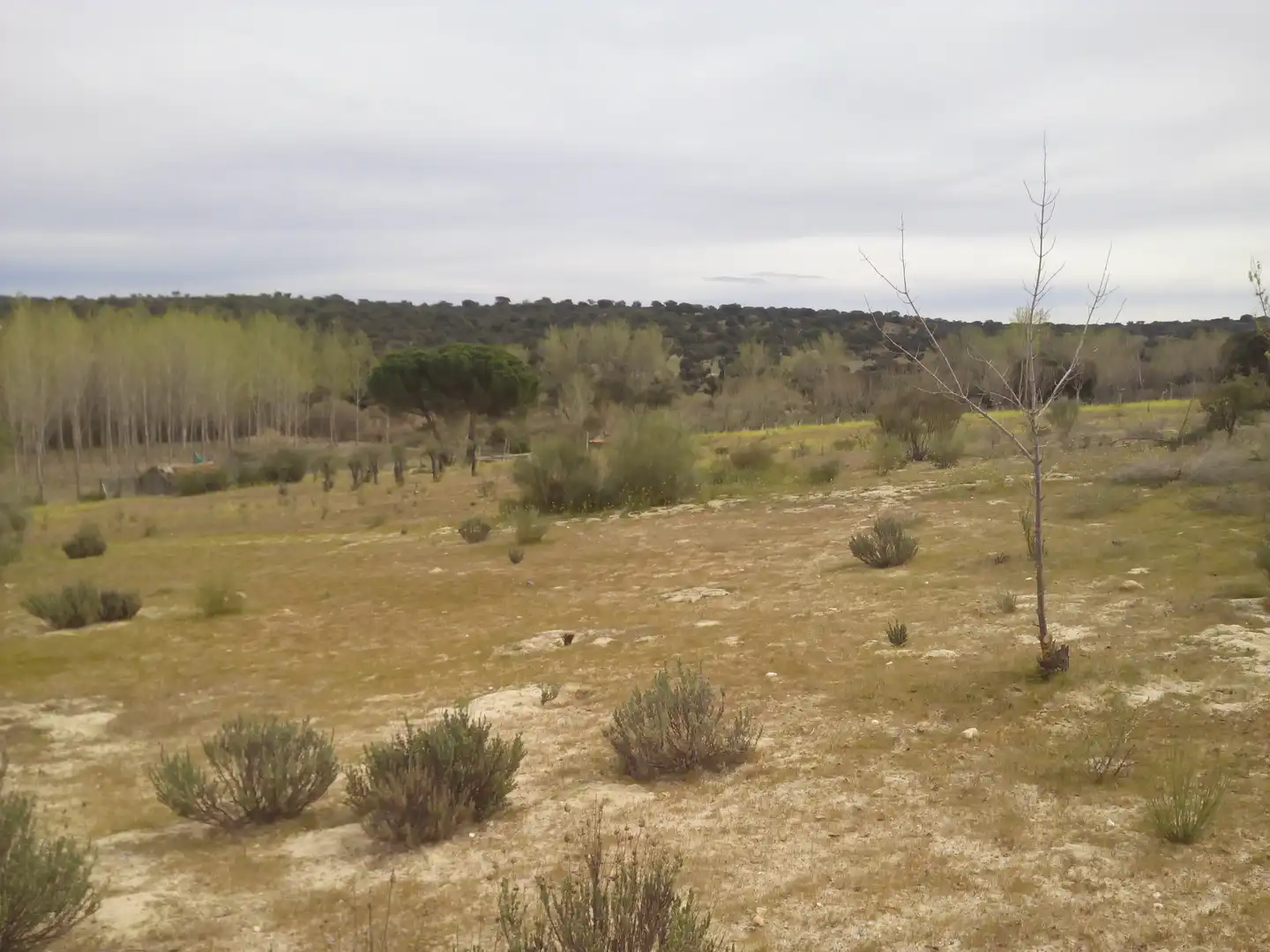 Terreno en venta en Aldea del Fresno