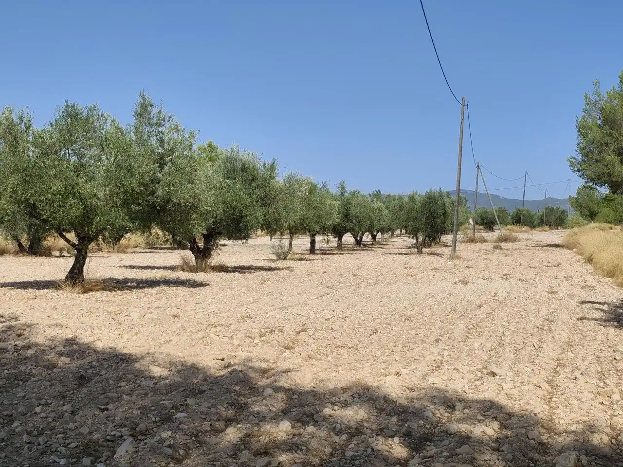 Terreno rustico in vendita a Castalla, imagen 30