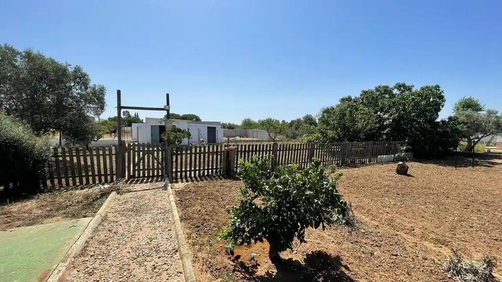 Xalet amb jardí en venda a Pelagatos - Pago del Humo, imagen 6