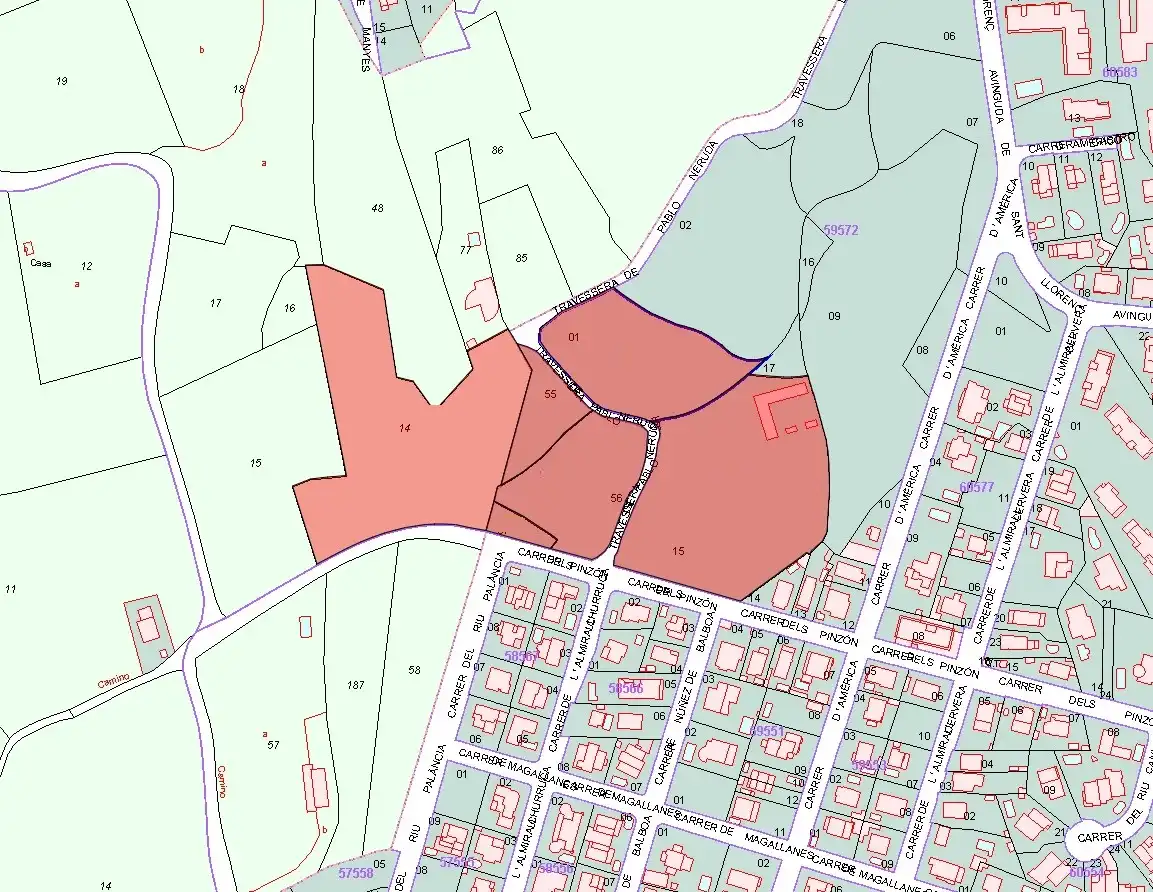 Terreno rustico in vendita a C/ Pinzón-Corral Blanc, imagen 2