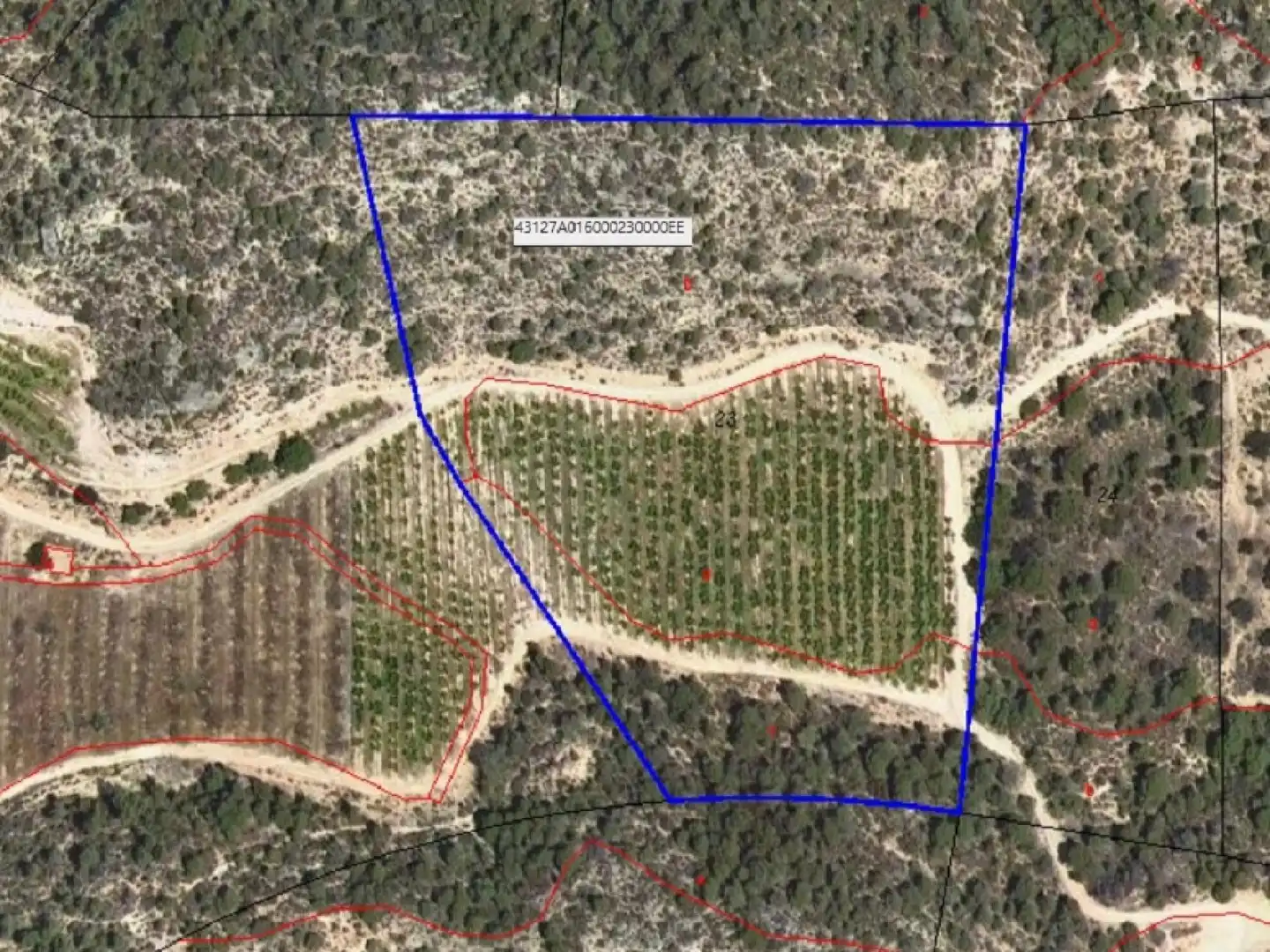 Terrain rustique à vendre à Riba-roja d'Ebre, imagen 10