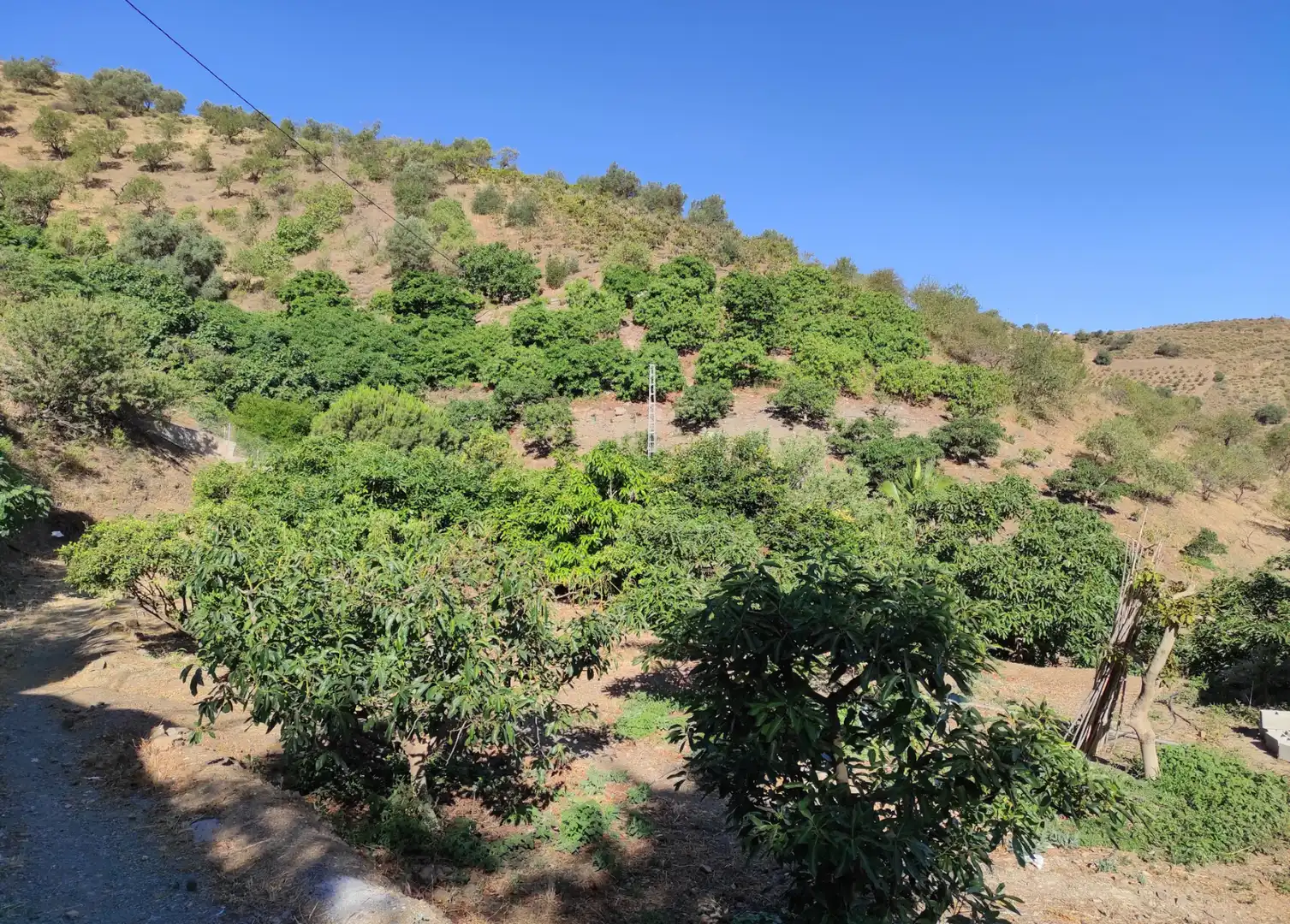 Finca rústica en venda en Canillas de Aceituno amb Jardí privat, Terrassa i Traster