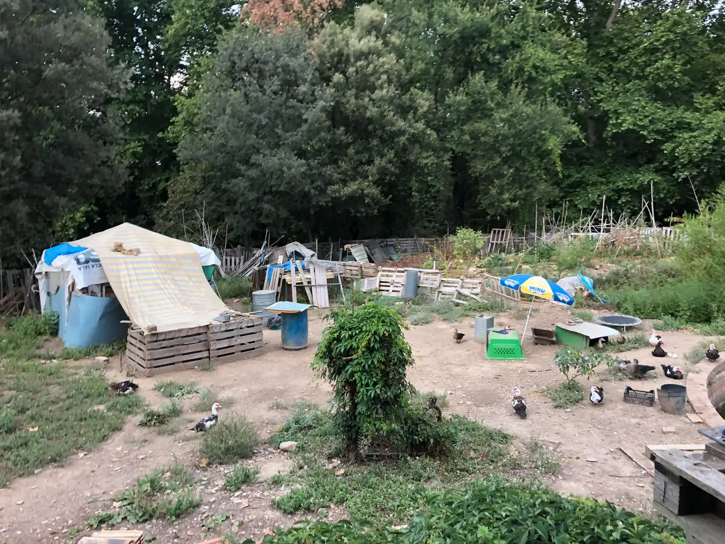 Jardín de Finca rústica en venta en Sant Celoni