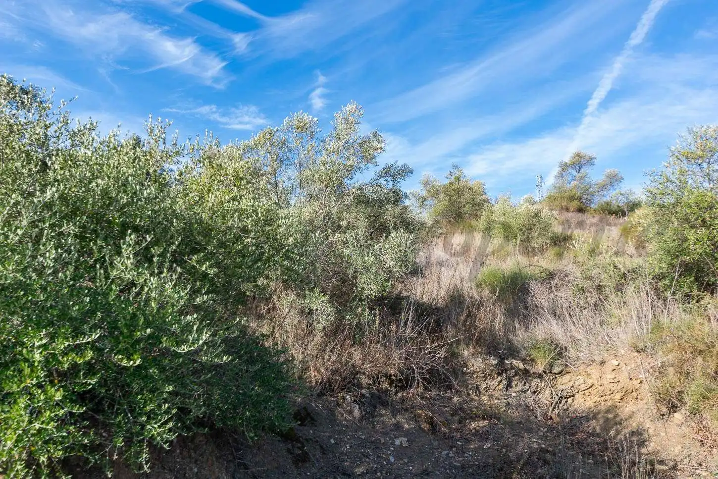 Rustikales Grundstück zum Verkauf in Torrox Pueblo, imagen 3