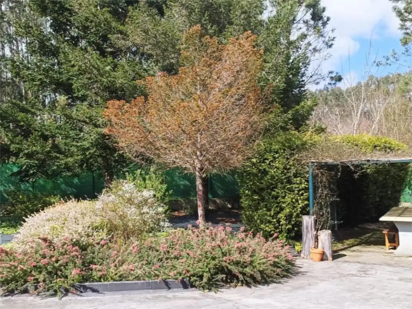 Jardí de Finca rústica en venda en San Sadurniño amb Jardí privat