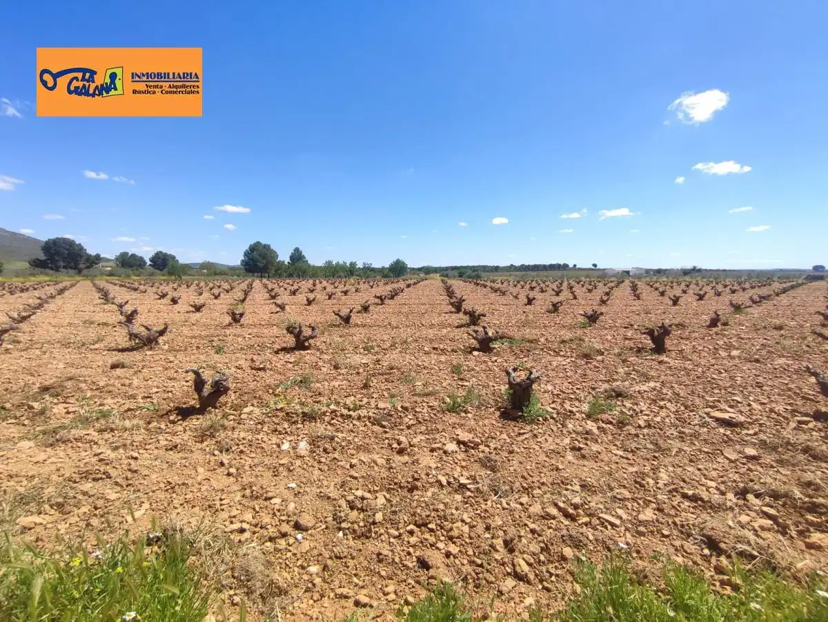 Rural land for sale in Valdepeñas
