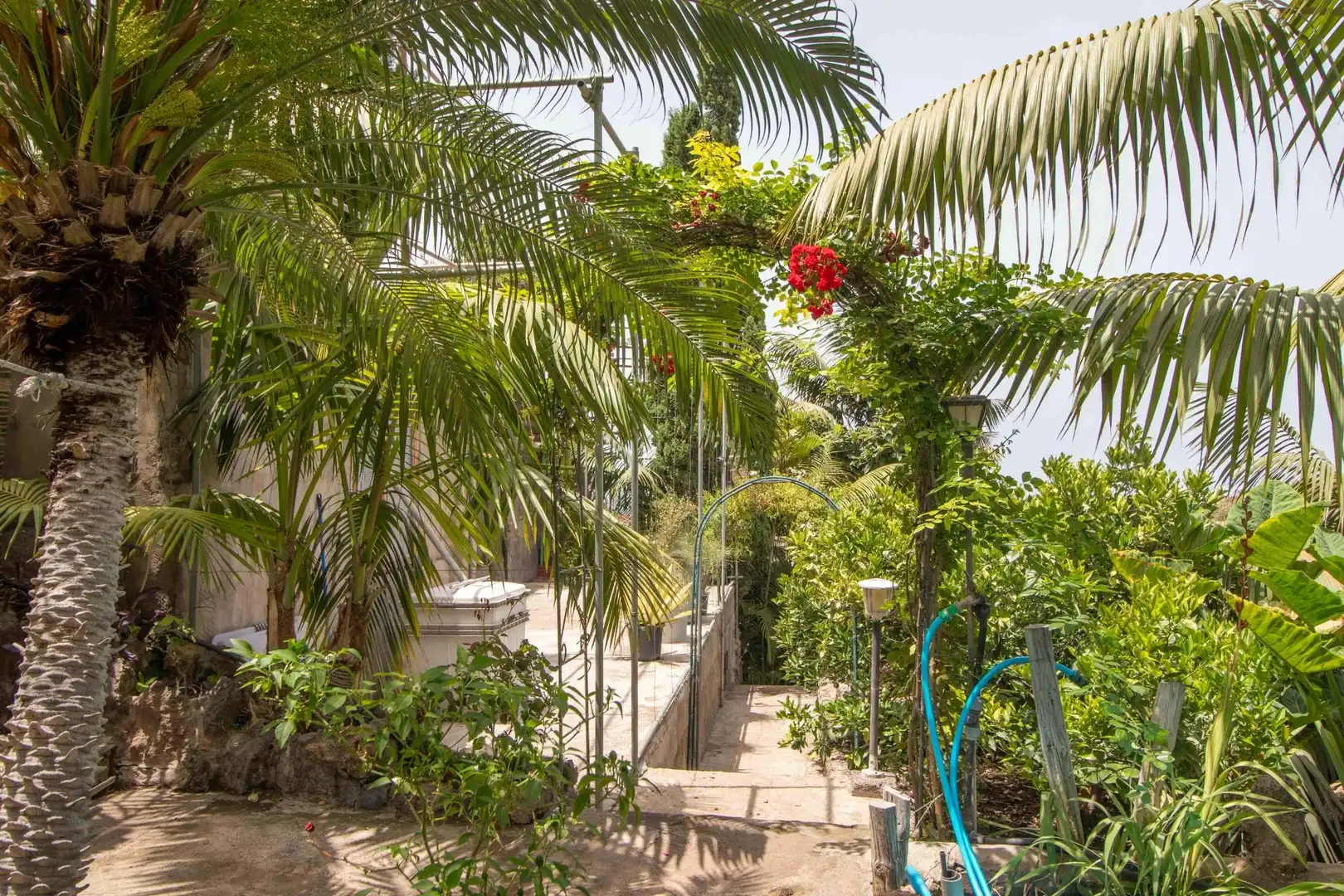 Terrassa de Casa o xalet en venda en Icod de los Vinos amb Jardí privat, Terrassa i Traster