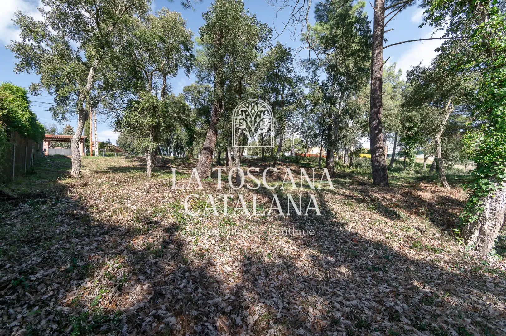 Terreny residencial en venda a Carrer Alzina Surera 152, imagen 5